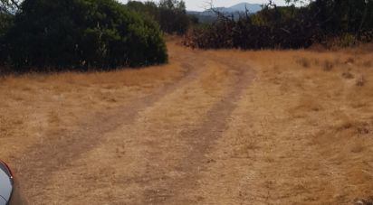 Land in Boliqueime of 13,750 m²