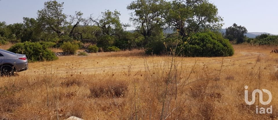 Terreno em Boliqueime de 13 750 m²