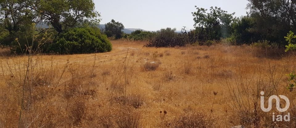 Terreno em Boliqueime de 13 750 m²