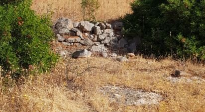 Land in Boliqueime of 13,750 m²