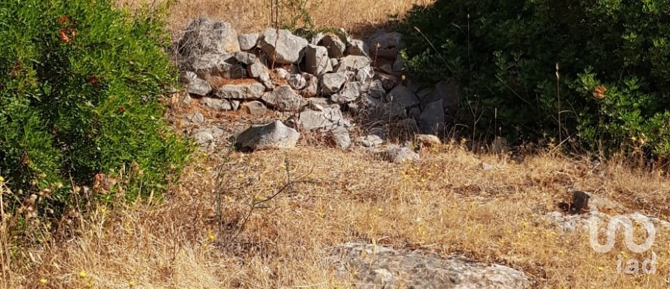 Terreno em Boliqueime de 13 750 m²