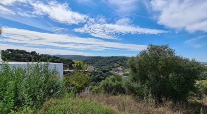 Terrain à Chamusca e Pinheiro Grande de 712 m²