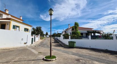 Terrain à Chamusca e Pinheiro Grande de 712 m²