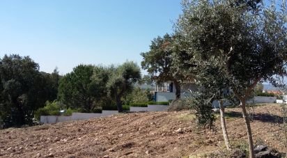Terrain à Chamusca e Pinheiro Grande de 712 m²