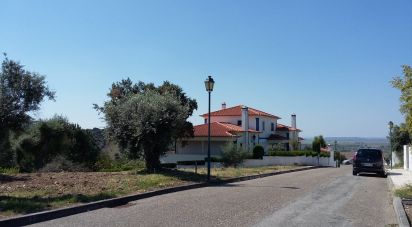 Terrain à Chamusca e Pinheiro Grande de 712 m²