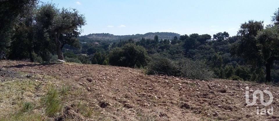 Terrain à Chamusca e Pinheiro Grande de 712 m²