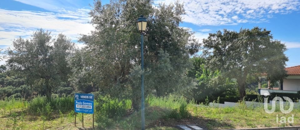 Terrain à Chamusca e Pinheiro Grande de 712 m²