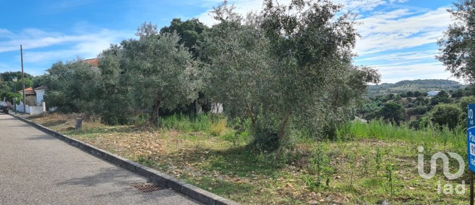 Terrain à Chamusca e Pinheiro Grande de 712 m²