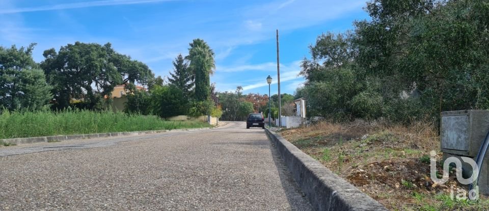 Terrain à Chamusca e Pinheiro Grande de 712 m²