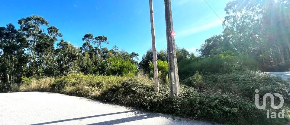 Terreno urbano em Chafé de 1 356 m²