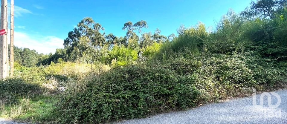 Terreno urbano em Chafé de 1 356 m²