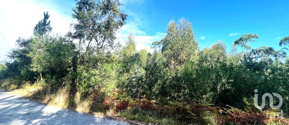 Terreno urbano em Chafé de 1 356 m²