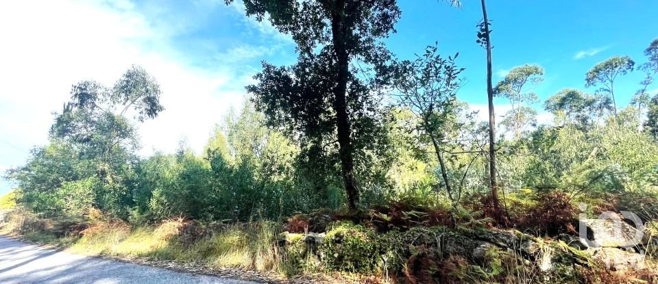 Terreno urbano em Chafé de 1 356 m²