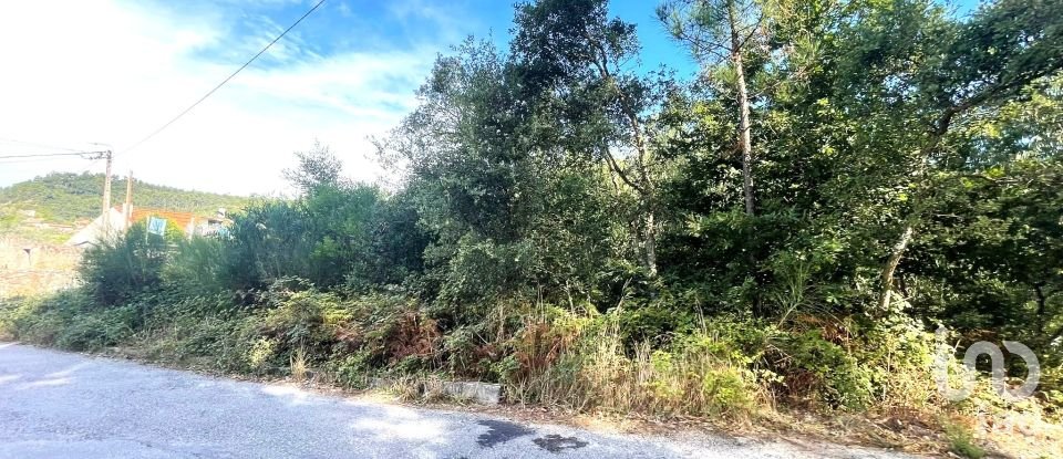 Terreno urbano em Chafé de 1 356 m²