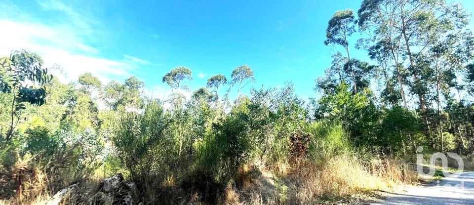 Terreno urbano em Chafé de 1 356 m²