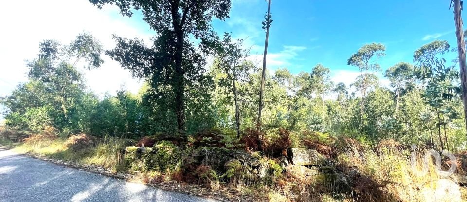 Terreno urbano em Chafé de 1 356 m²