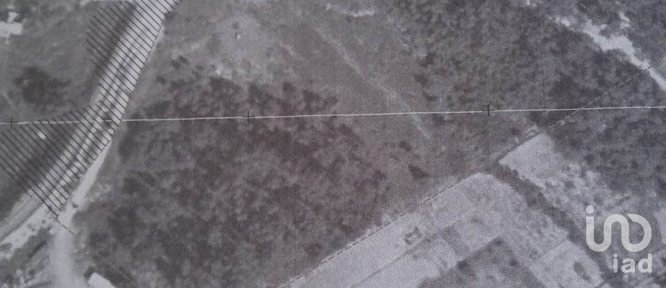 Terreno rústico em Ramalhal de 24 955 m²