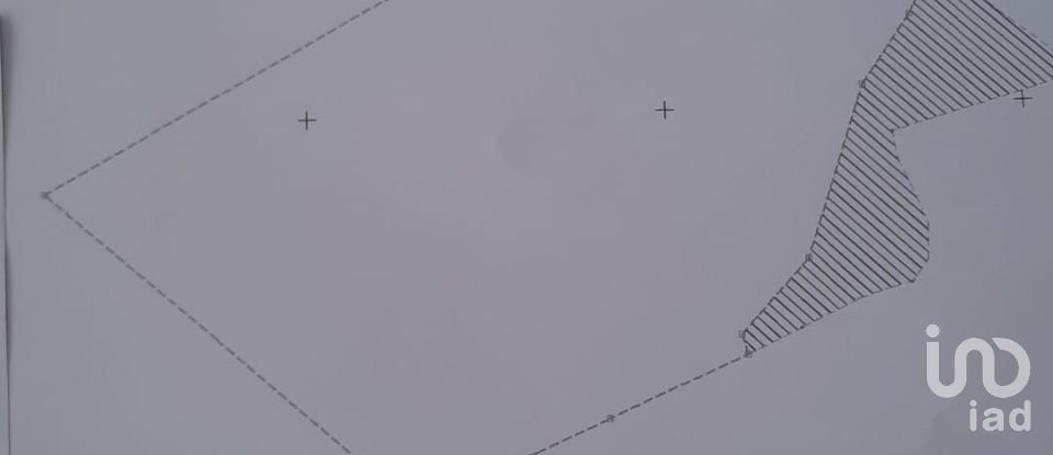 Terreno rústico em Ramalhal de 24 955 m²