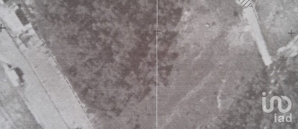 Terreno rústico em Ramalhal de 24 955 m²