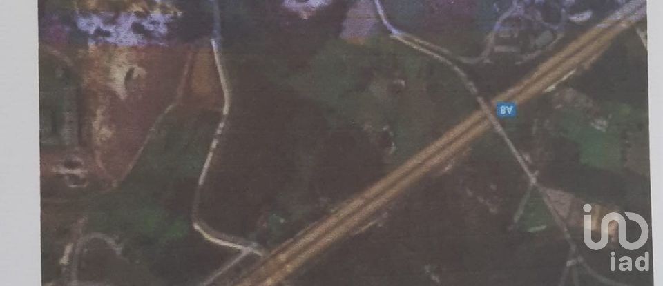 Terreno rústico em Ramalhal de 24 955 m²