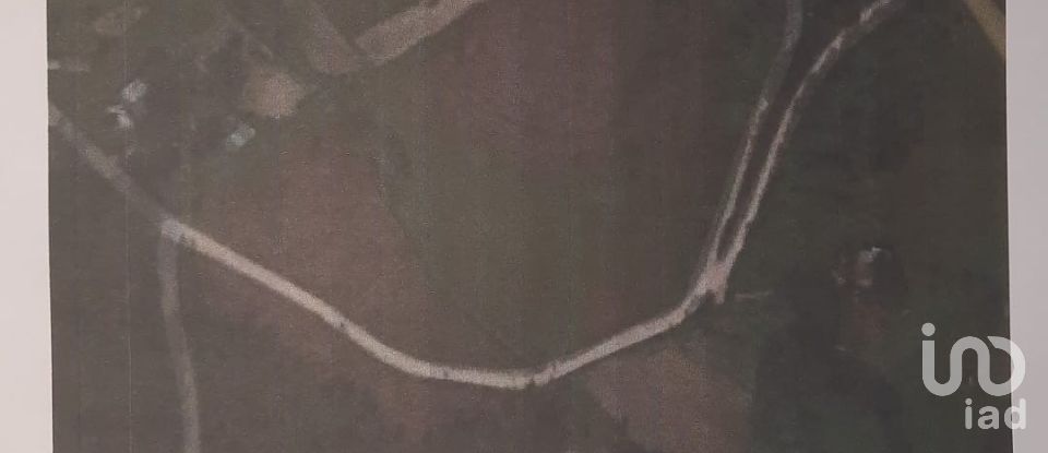 Terreno rústico em Ramalhal de 24 955 m²