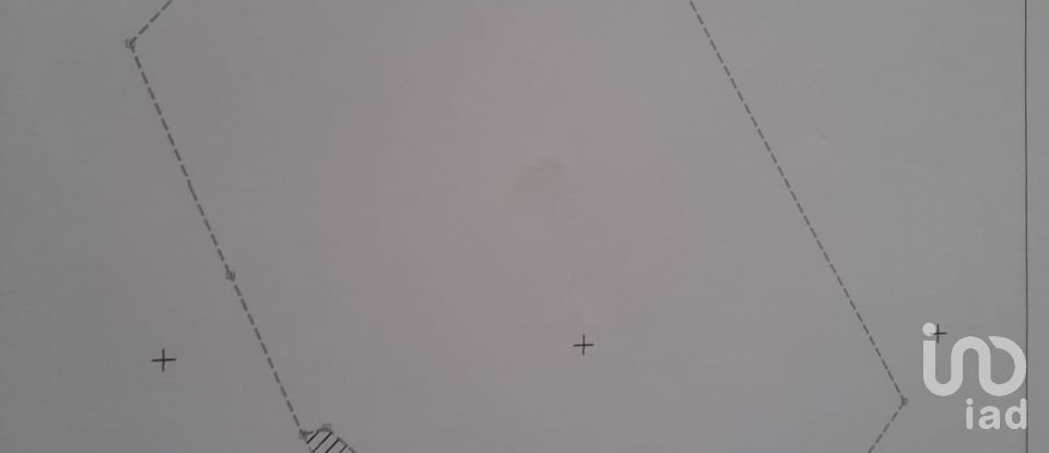 Terreno rústico em Ramalhal de 24 955 m²