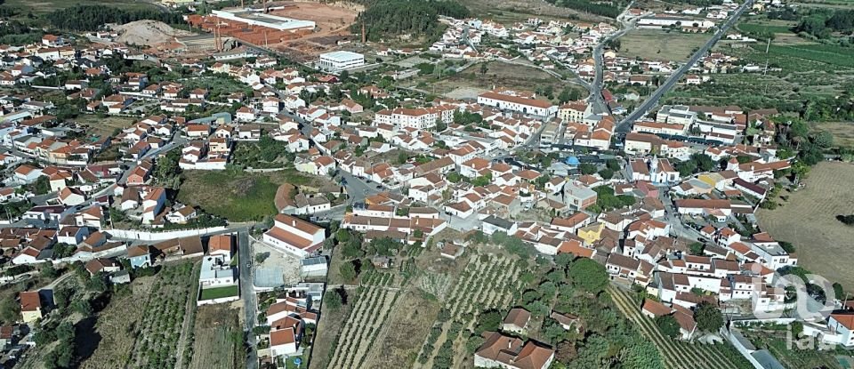 Terreno rústico em Ramalhal de 24 955 m²