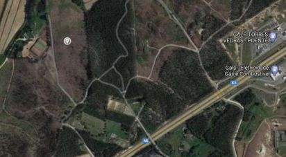 Terrain agricole à Ramalhal de 62 440 m²