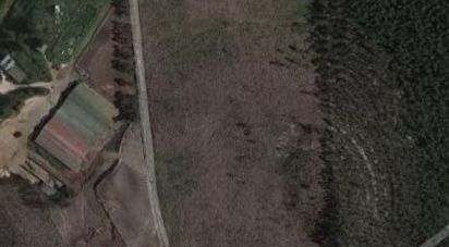 Terrain agricole à Ramalhal de 62 440 m²