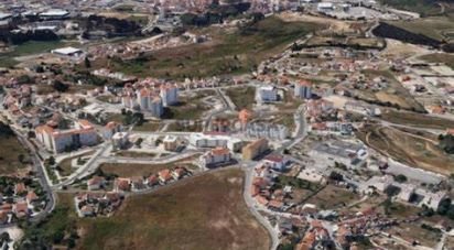 Terrain agricole à Ramalhal de 62 440 m²