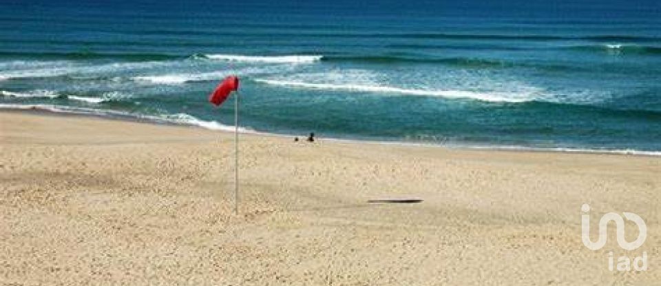 Terreno rústico em Ramalhal de 62 440 m²