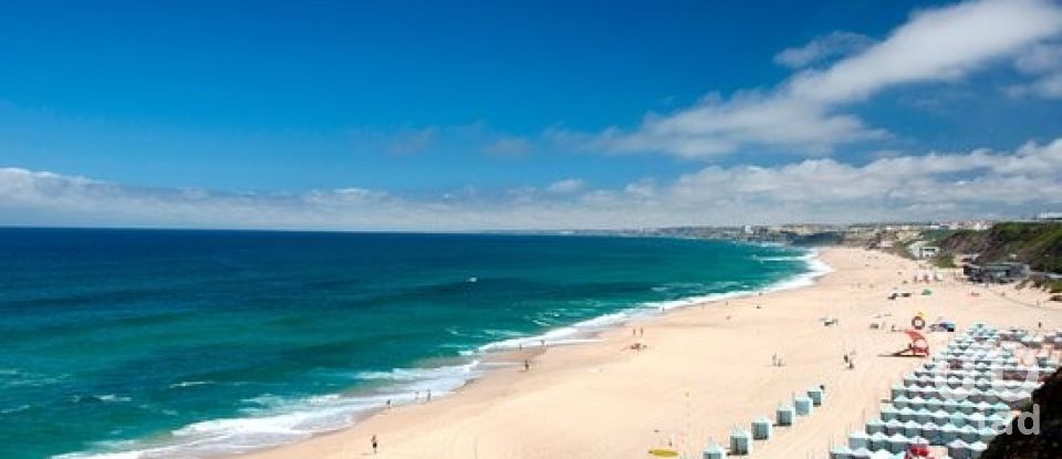Terreno rústico em Ramalhal de 62 440 m²