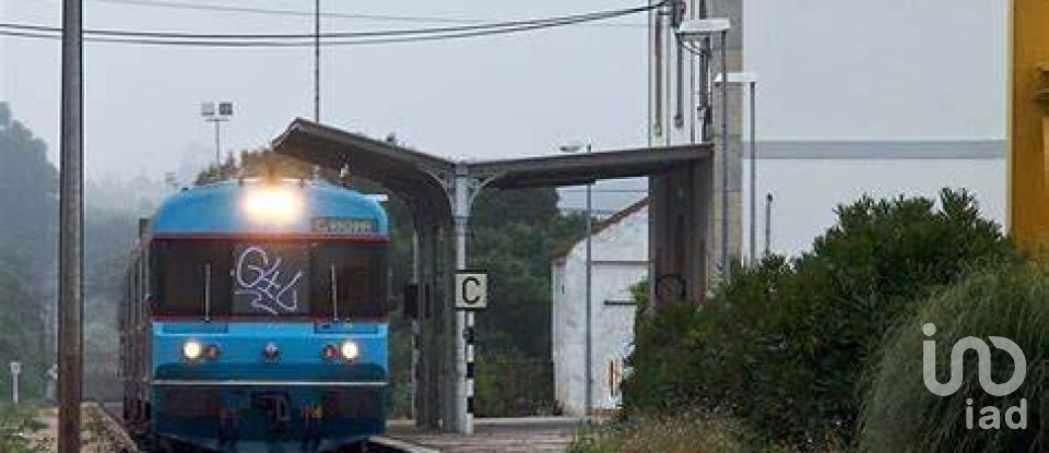 Terreno rústico em Ramalhal de 62 440 m²