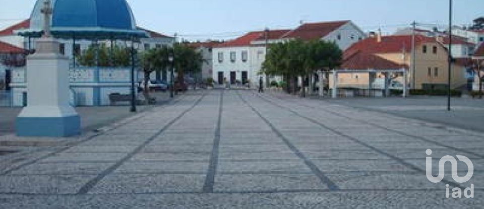 Terreno rústico em Ramalhal de 62 440 m²