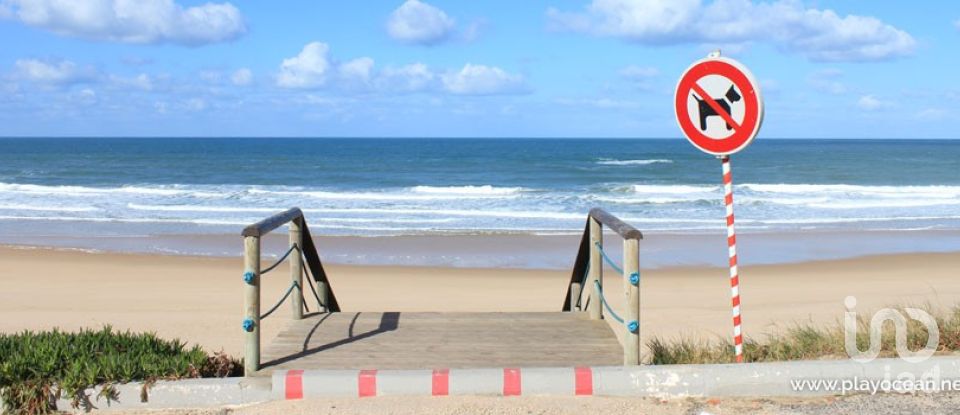 Terreno rústico em Ramalhal de 62 440 m²