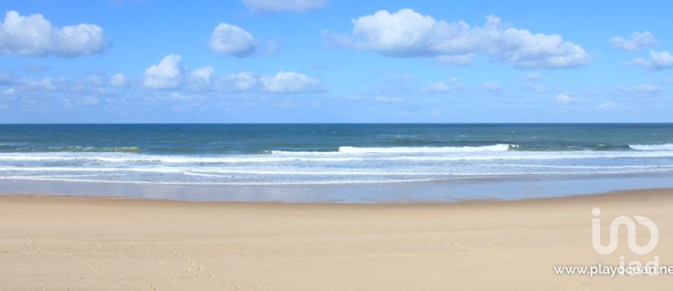 Terreno rústico em Ramalhal de 62 440 m²