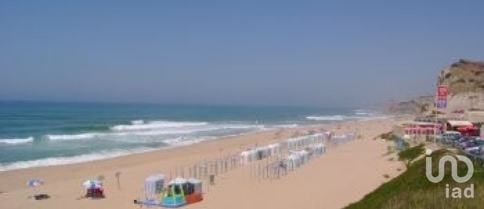 Terreno rústico em Ramalhal de 62 440 m²