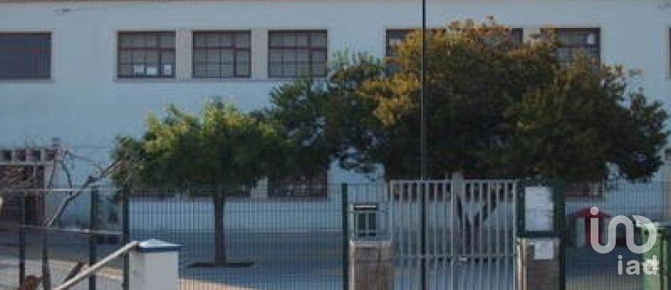 Terreno rústico em Ramalhal de 62 440 m²