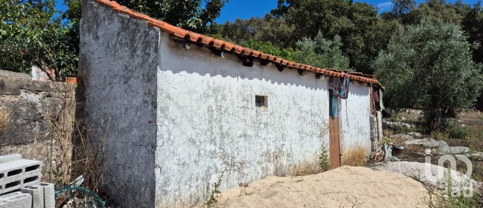 Moradia T3 em Alvados e Alcaria de 440 m²