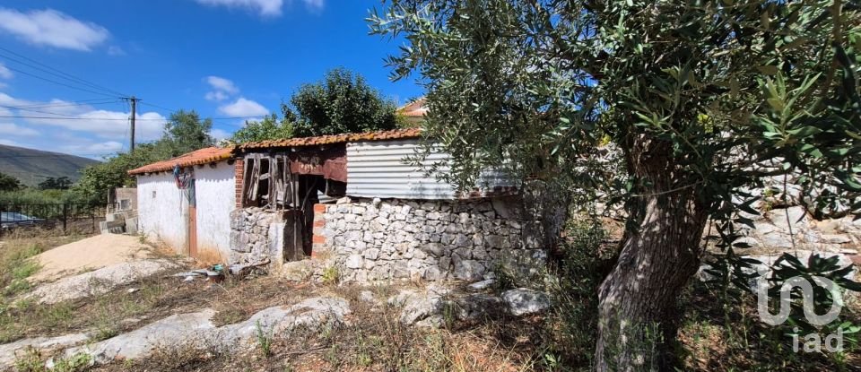 Moradia T3 em Alvados e Alcaria de 440 m²