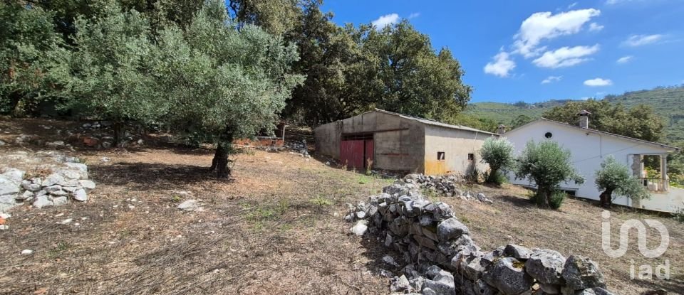 Moradia T3 em Alvados e Alcaria de 440 m²