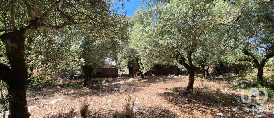 Moradia T3 em Alvados e Alcaria de 440 m²