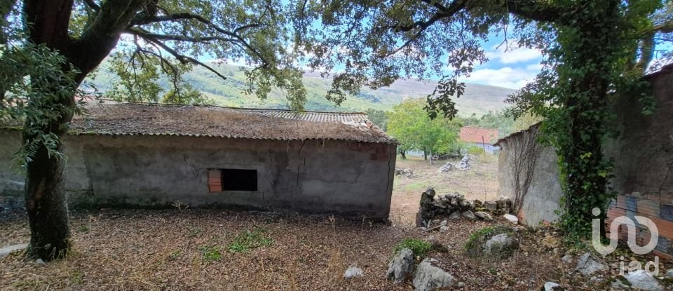 Moradia T3 em Alvados e Alcaria de 440 m²