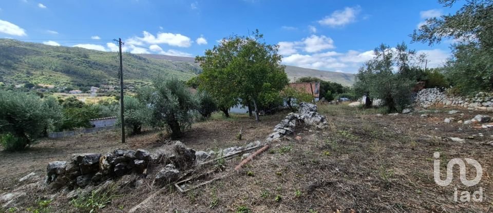 Moradia T3 em Alvados e Alcaria de 440 m²