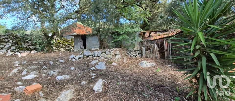 Moradia T3 em Alvados e Alcaria de 440 m²