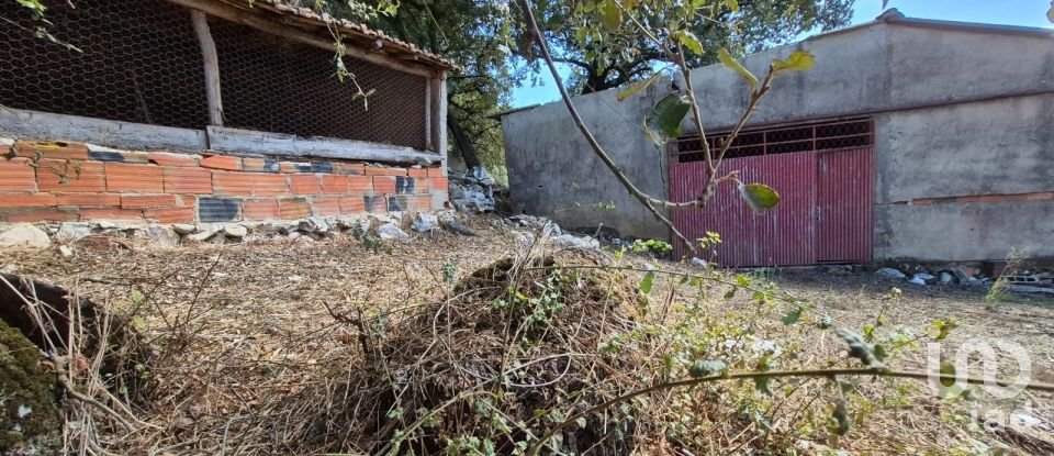 Moradia T3 em Alvados e Alcaria de 440 m²