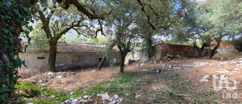 Moradia T3 em Alvados e Alcaria de 440 m²