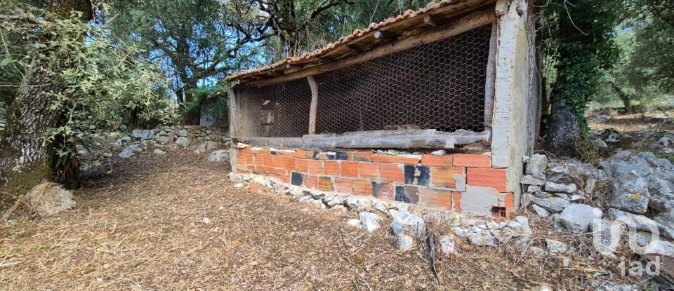 Moradia T3 em Alvados e Alcaria de 440 m²