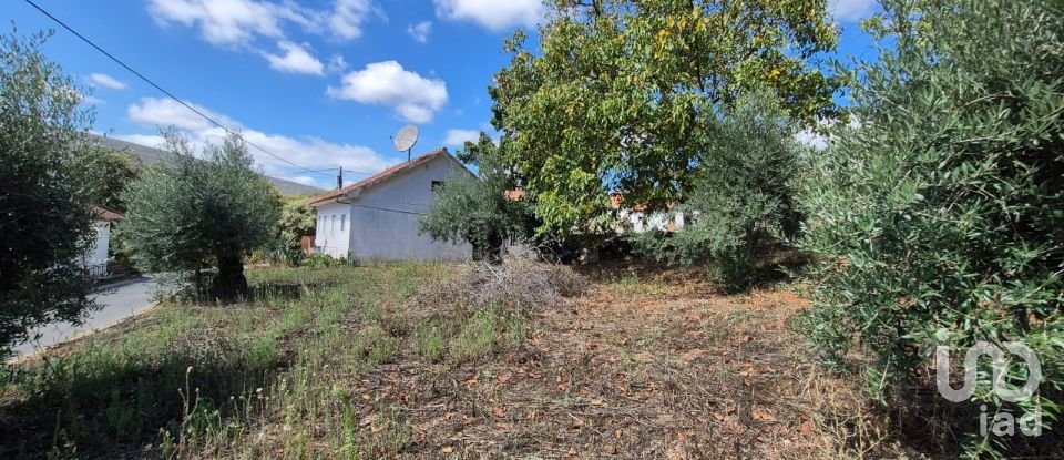 Moradia T3 em Alvados e Alcaria de 440 m²