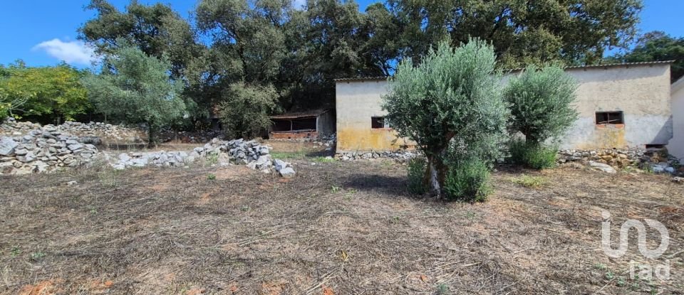 Moradia T3 em Alvados e Alcaria de 440 m²